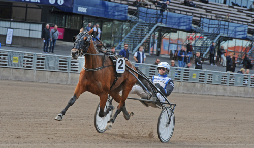 Tar sats mot Stochampionatet