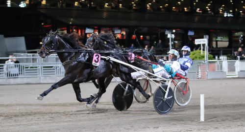 V86-tips: Underbara spikar!