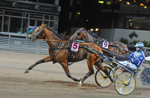 Fyndköpet slog till