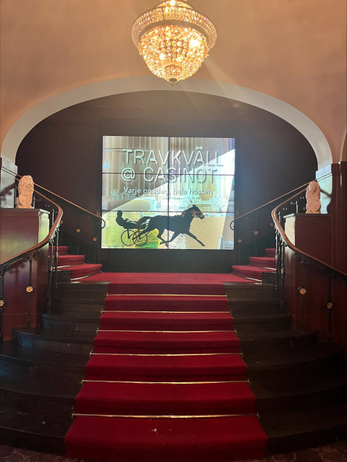 En travkväll på kasinot