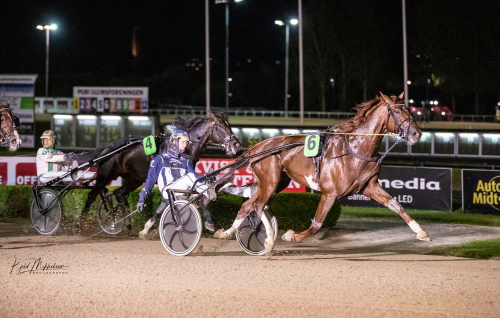 Ålborgs Stora Pris till 29-oddsare