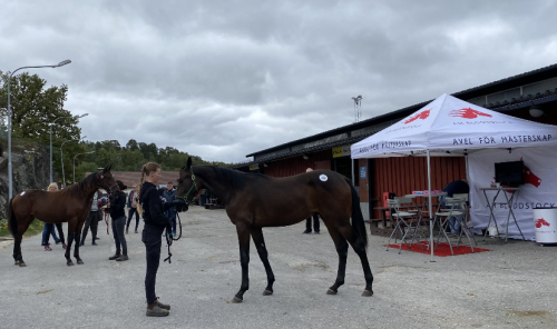 Mörka moln över uppfödare