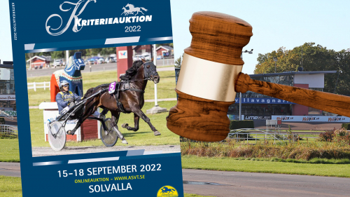 Dags för Kriterieauktionen