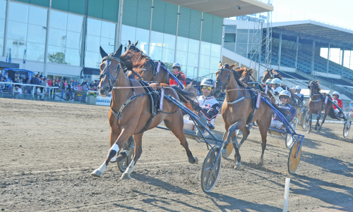 Årsdebuterar med seger?