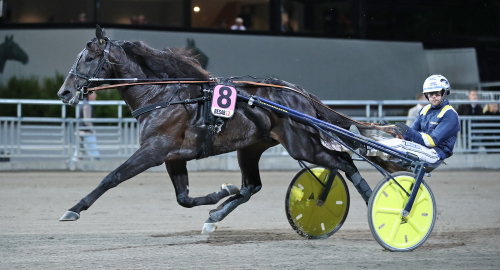 Letsdoit siktar mot stjärnorna