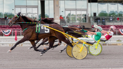 Luisella  från spets