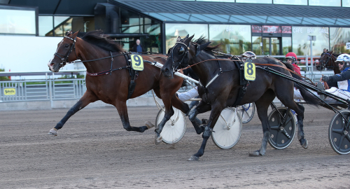 Inför V86: Tar Olivia revansch?