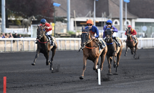 Trippel svenskt på Vincennes