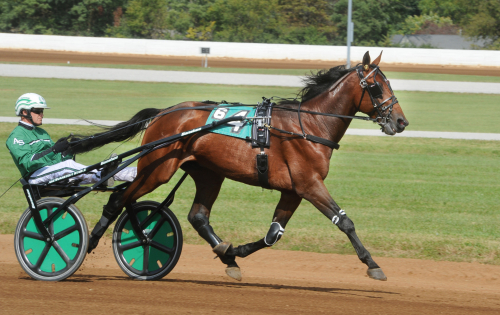 Third Shift till dansk avel