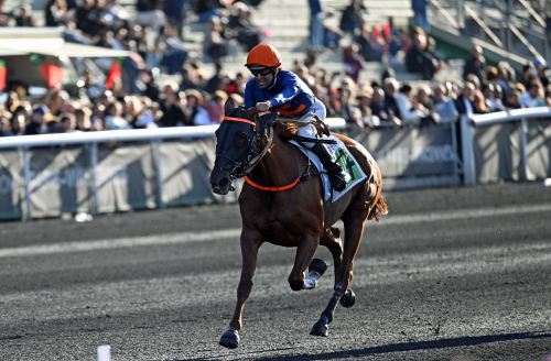 Malmqvist mot ny storseger