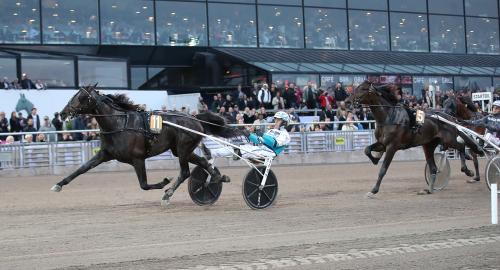 Daniel om V85-hästarna