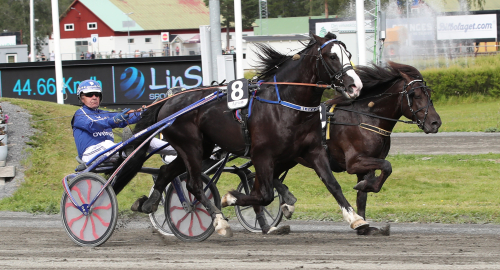 Inför V75: Kall staketduell