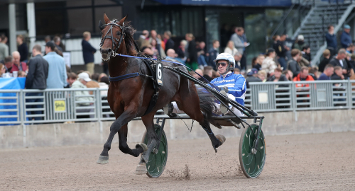 V86-tips: Tar igen för derbymiss
