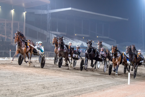 Frankrike nästa för Honey Mearas?