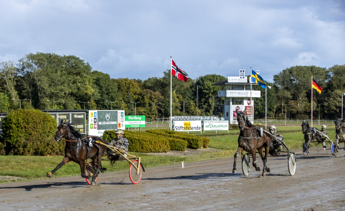 Just Hans fortsatt obesegrad