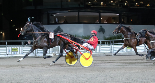 Delat i toppen med elva segrar