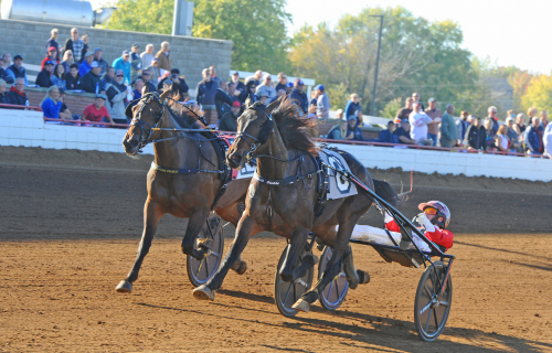 Jiggy Jog nära världsrekord