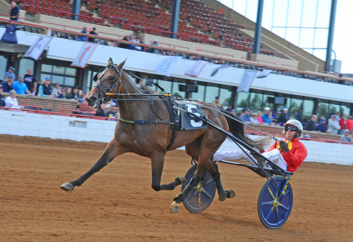 Nybakat proffs tränar världsstjärna
