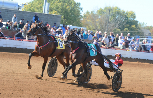 Vestmarka köper 1.09-travare