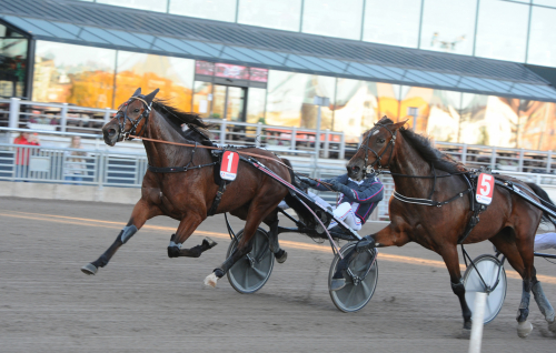 V75-tips: Rundar samtliga