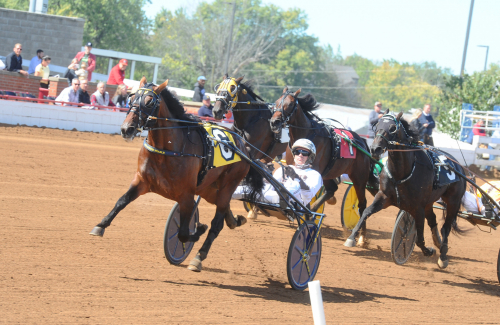 V75: Hambofemman en vinnare