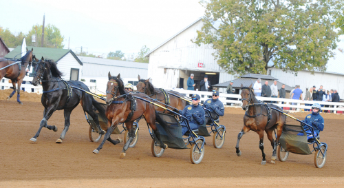 Svensktätt i Kentucky Futurity