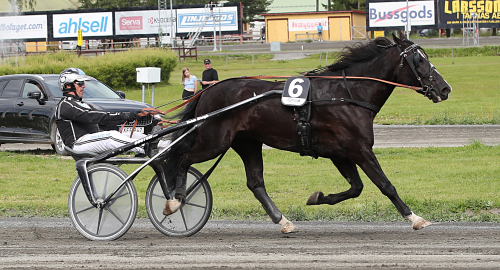 De såldes på kallblodsauktionen