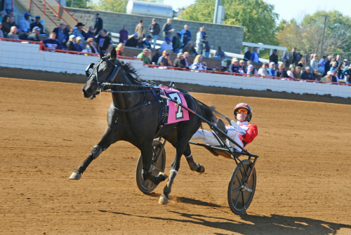 Blågula andraplatser