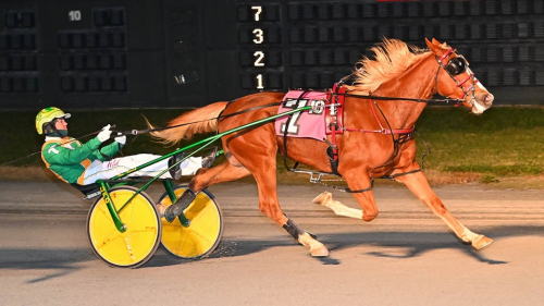 Yankee Royalty var namnet!