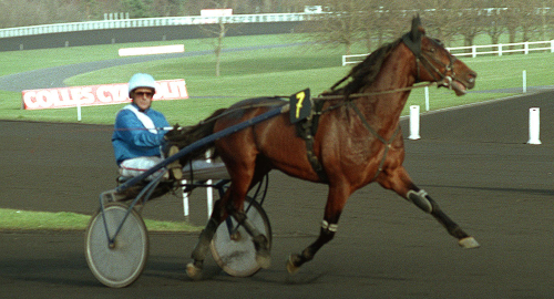 Fransk champion död
