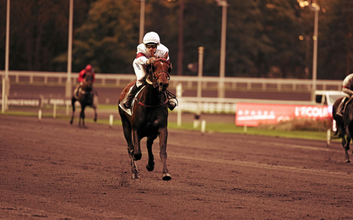 Montéstjärna överlägsen