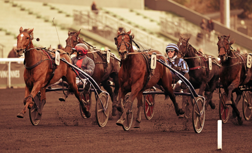 Idao de Tillard i ny uppvisning