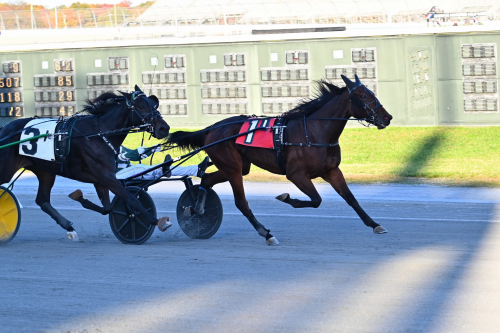 Blågul dubbel i Matron Stakes