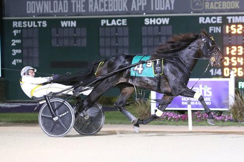 Ny seger för kungen i norr