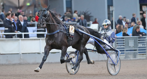 V86-tips: Det bästa till sist…