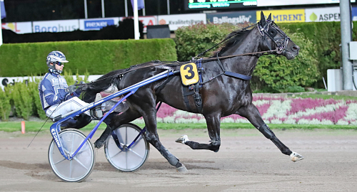 V75: ”Tittat på det här loppet”