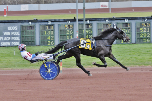 Svenskägd vinnare i topp