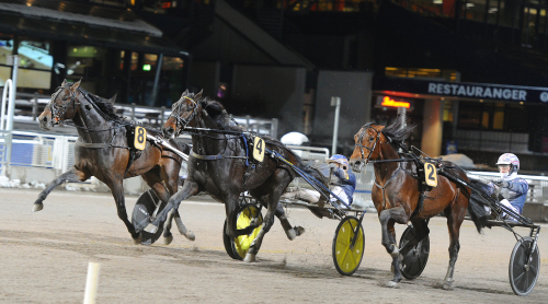 ”Tarzans” sköna present