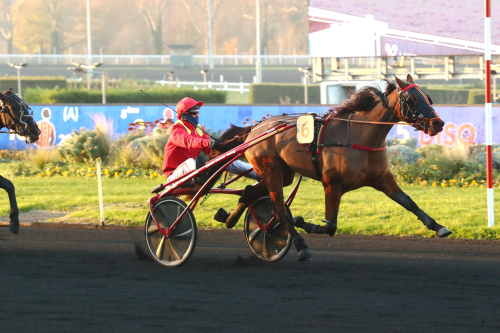 Malmqvist i segertagen