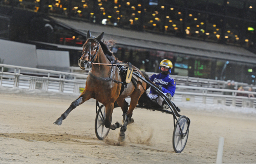 Calgary Games en av 17