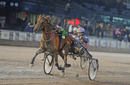 V75-tips: På väg mot tredje raka