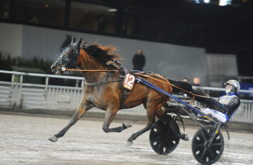 Hannibal på rätt spår