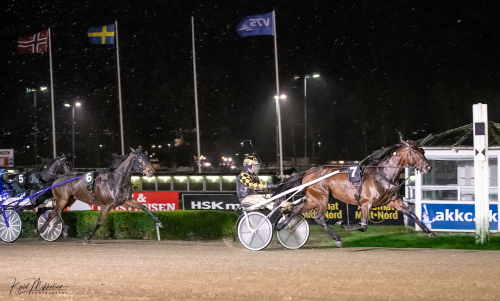 Inför V75: Internationell touch