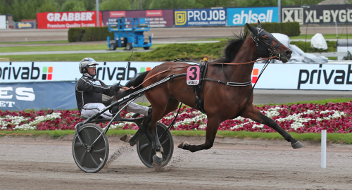 V75: ”Intressant i ledningen”