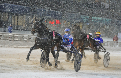 Vegas Wania visade klass