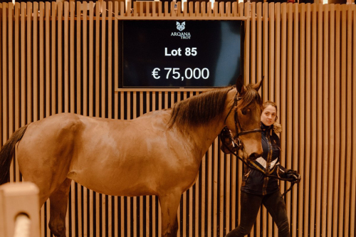 Face Time Bourbon i topp