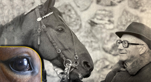 Bonden som rörde om i grytan