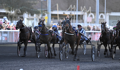 Horsy Dream på 1.10-tid