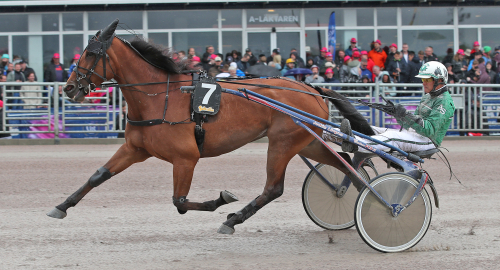 V75-tips: God sport och jackpot