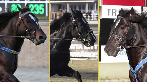 Hopp eller flopp för framtidens stjärnor?